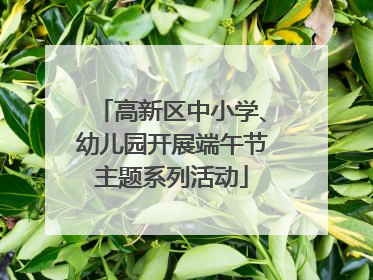 高新区中小学、幼儿园开展端午节主题系列活动