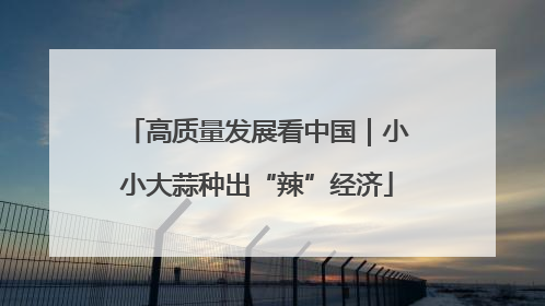 高质量发展看中国｜小小大蒜种出“辣”经济