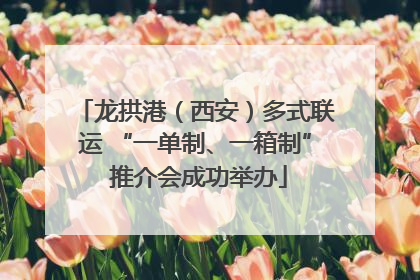 龙拱港（西安）多式联运 “一单制、一箱制” 推介会成功举办