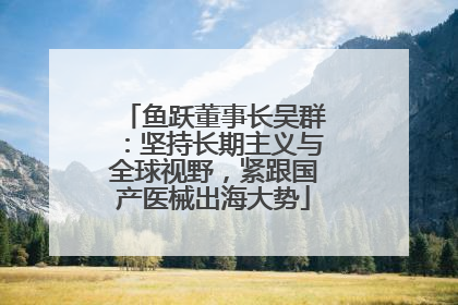 鱼跃董事长吴群：坚持长期主义与全球视野，紧跟国产医械出海大势