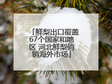 鲜梨出口覆盖67个国家和地区 河北鲜梨俏销海外市场