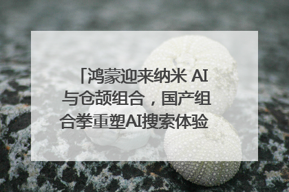 鸿蒙迎来纳米 AI 与仓颉组合，国产组合拳重塑AI搜索体验｜新经济观察