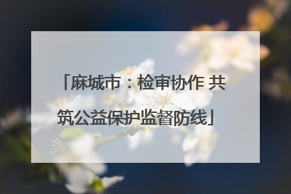 麻城市：检审协作 共筑公益保护监督防线