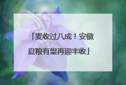 麦收过八成！安徽夏粮有望再迎丰收