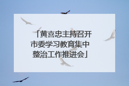 黄喜忠主持召开市委学习教育集中整治工作推进会