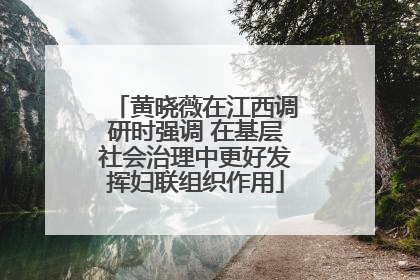 黄晓薇在江西调研时强调 在基层社会治理中更好发挥妇联组织作用