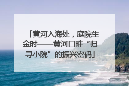黄河入海处，庭院生金时——黄河口畔“归寻小院”的振兴密码