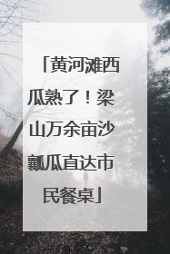 黄河滩西瓜熟了！梁山万余亩沙瓤瓜直达市民餐桌