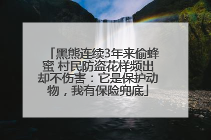 黑熊连续3年来偷蜂蜜 村民防盗花样频出却不伤害：它是保护动物，我有保险兜底