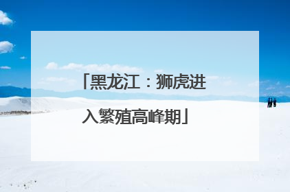 黑龙江：狮虎进入繁殖高峰期