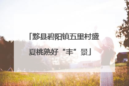 黟县碧阳镇五里村盛夏桃熟好“丰”景