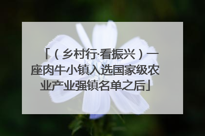 （乡村行·看振兴）一座肉牛小镇入选国家级农业产业强镇名单之后