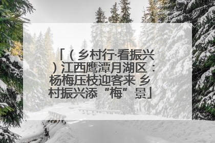 （乡村行·看振兴）江西鹰潭月湖区：杨梅压枝迎客来 乡村振兴添“梅”景