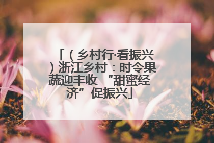 （乡村行·看振兴）浙江乡村：时令果蔬迎丰收 “甜蜜经济”促振兴