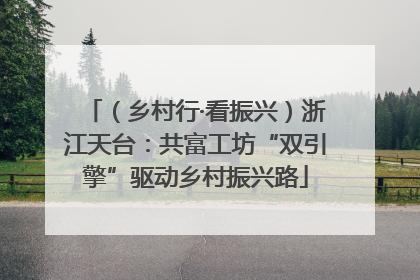（乡村行·看振兴）浙江天台：共富工坊“双引擎”驱动乡村振兴路