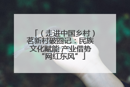 （走进中国乡村）茗新村破圈记：民族文化赋能 产业借势 “网红东风”