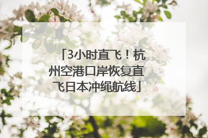 3小时直飞！杭州空港口岸恢复直飞日本冲绳航线