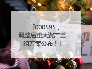 000595，调整后重大资产重组方案公布！