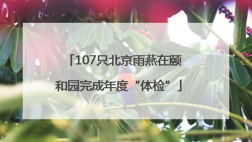107只北京雨燕在颐和园完成年度“体检”