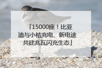 15000座！比亚迪与小桔充电、新电途共建兆瓦闪充生态
