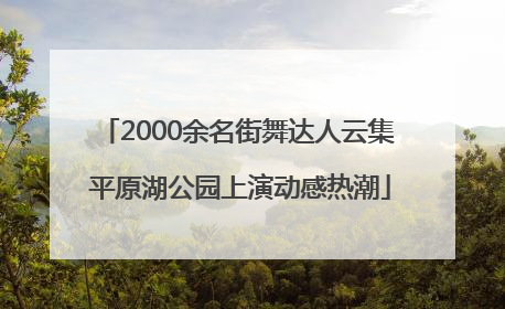 2000余名街舞达人云集 平原湖公园上演动感热潮
