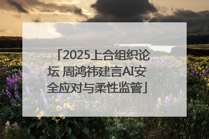 2025上合组织论坛 周鸿祎建言AI安全应对与柔性监管