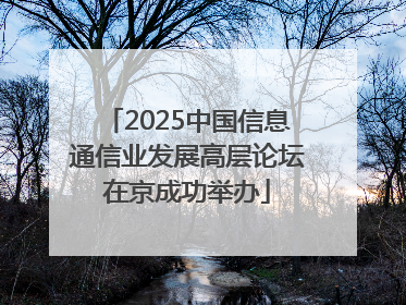 2025中国信息通信业发展高层论坛在京成功举办
