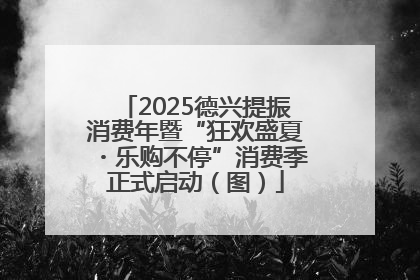 2025德兴提振消费年暨“狂欢盛夏・乐购不停”消费季正式启动（图）