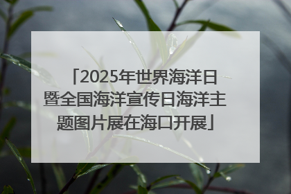 2025年世界海洋日暨全国海洋宣传日海洋主题图片展在海口开展