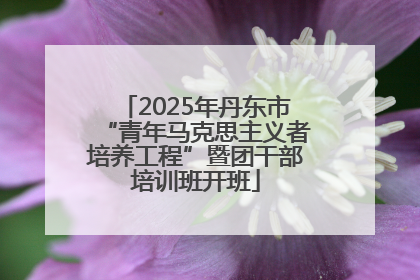 2025年丹东市“青年马克思主义者培养工程”暨团干部培训班开班