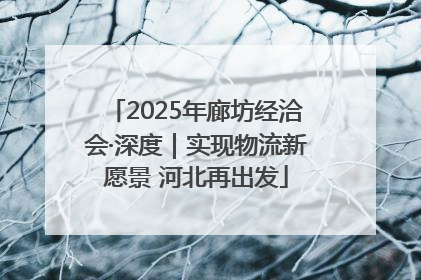 2025年廊坊经洽会·深度｜实现物流新愿景 河北再出发