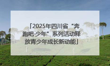 2025年四川省“奔跑吧·少年”系列活动释放青少年成长新动能