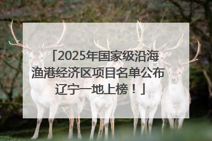 2025年国家级沿海渔港经济区项目名单公布 辽宁一地上榜！