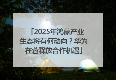 2025年鸿蒙产业生态将有何动向？华为在蓉释放合作机遇