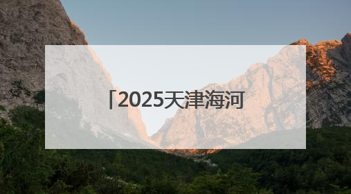 2025天津海河国际龙舟赛举行