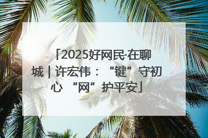 2025好网民·在聊城｜许宏伟：“键”守初心 “网”护平安
