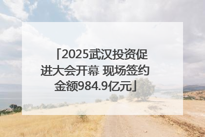 2025武汉投资促进大会开幕 现场签约金额984.9亿元