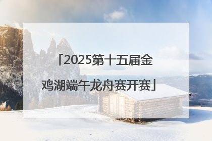 2025第十五届金鸡湖端午龙舟赛开赛