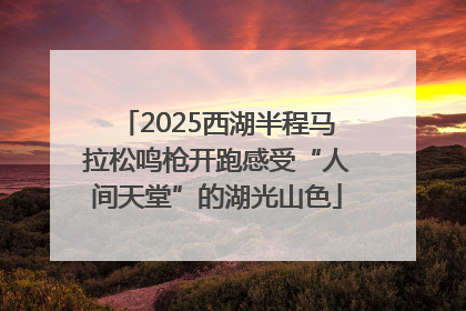 2025西湖半程马拉松鸣枪开跑感受“人间天堂”的湖光山色