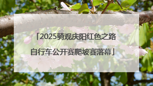 2025骑观庆阳红色之路自行车公开赛爬坡赛落幕