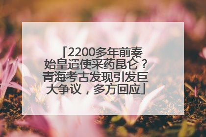 2200多年前秦始皇遣使采药昆仑？青海考古发现引发巨大争议，多方回应