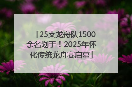 25支龙舟队1500余名划手！2025年怀化传统龙舟赛启幕