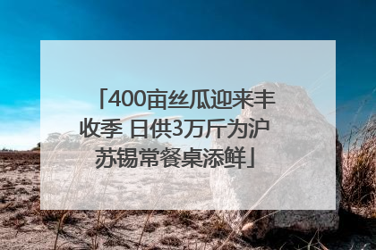 400亩丝瓜迎来丰收季 日供3万斤为沪苏锡常餐桌添鲜