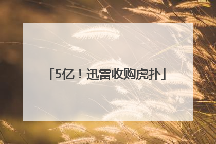 5亿！迅雷收购虎扑