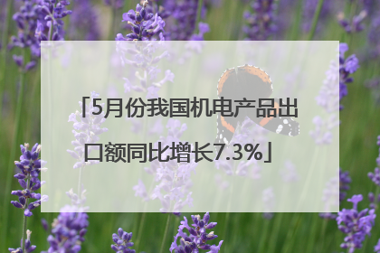 5月份我国机电产品出口额同比增长7.3%