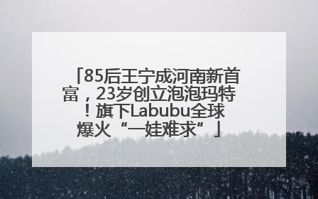 85后王宁成河南新首富，23岁创立泡泡玛特！旗下Labubu全球爆火“一娃难求”