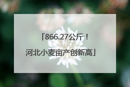 866.27公斤！河北小麦亩产创新高