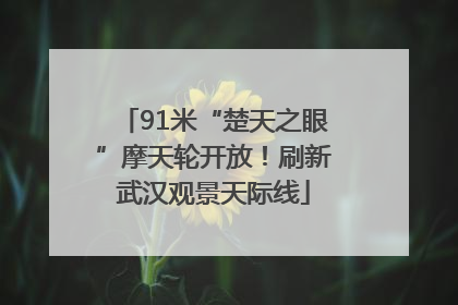 91米“楚天之眼”摩天轮开放！刷新武汉观景天际线