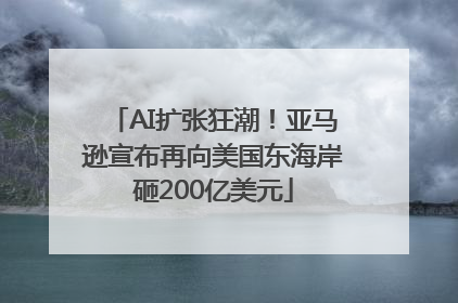 AI扩张狂潮！亚马逊宣布再向美国东海岸砸200亿美元