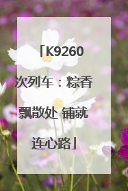 K9260次列车：粽香飘散处 铺就连心路
